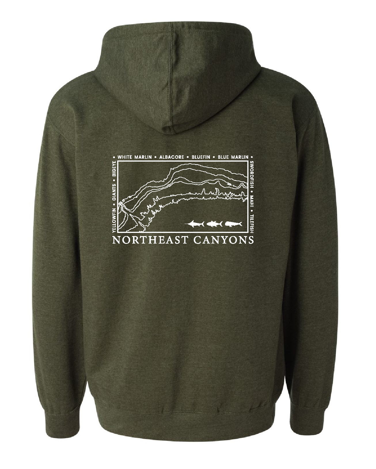 Northeast Canyon Hoodie