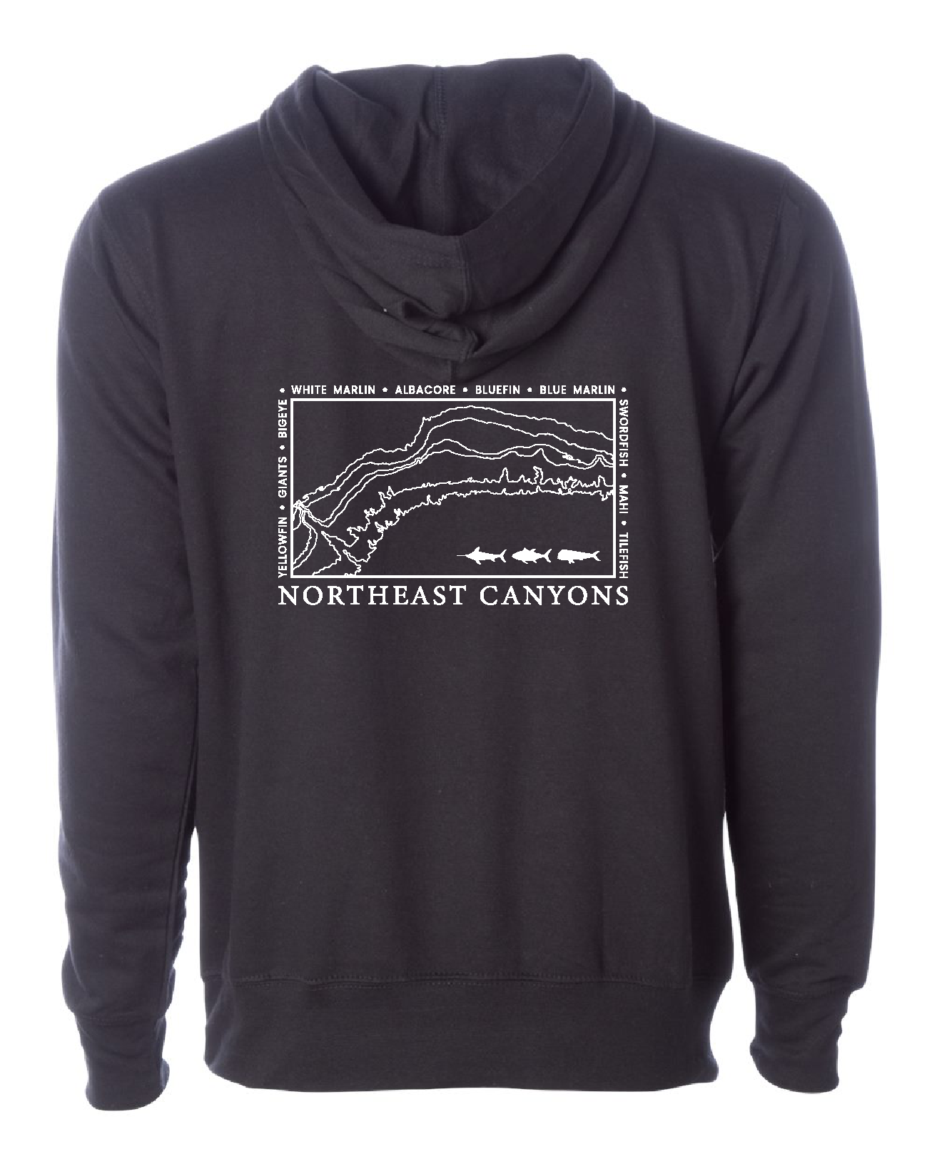 Northeast Canyon Hoodie