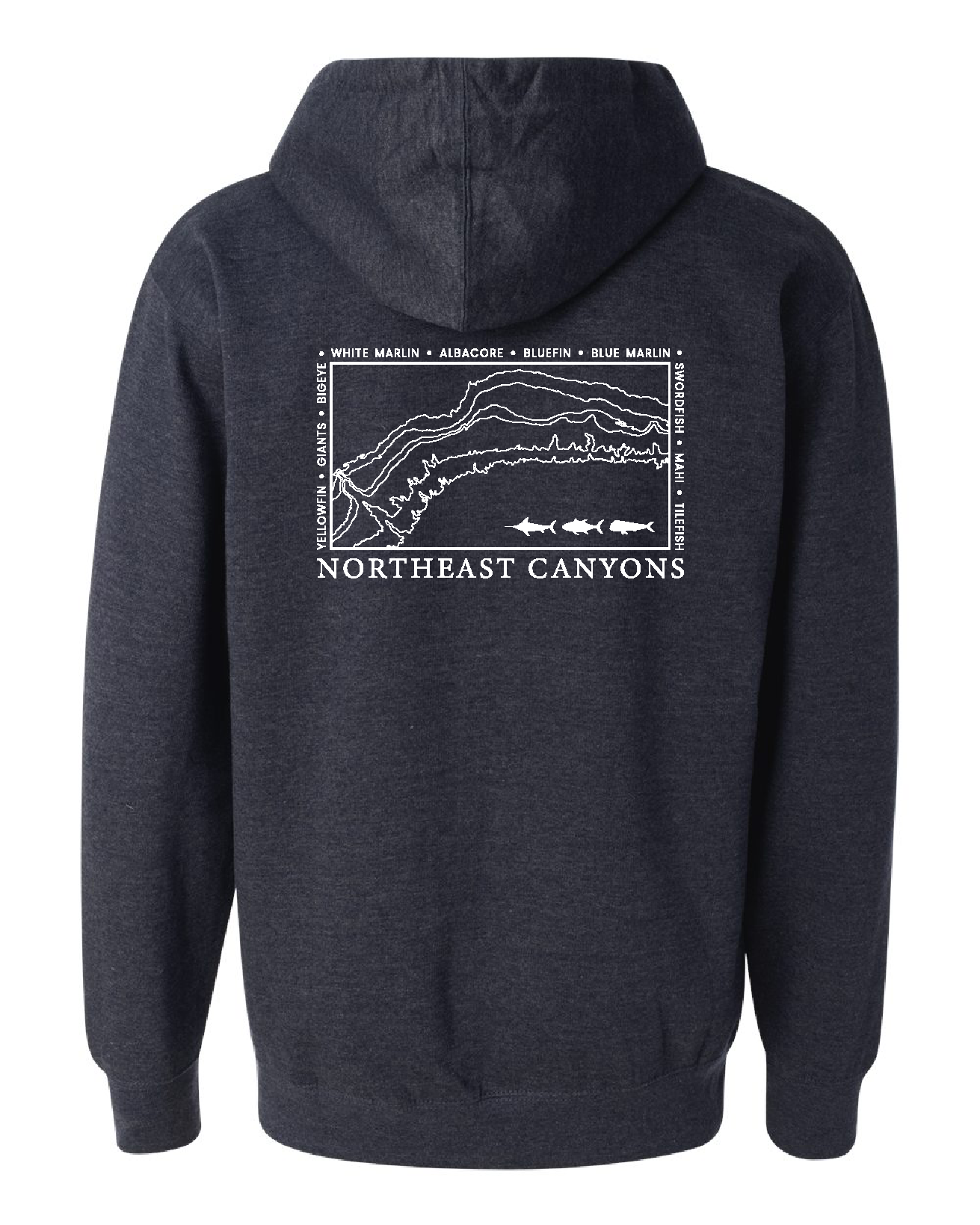 Northeast Canyon Hoodie