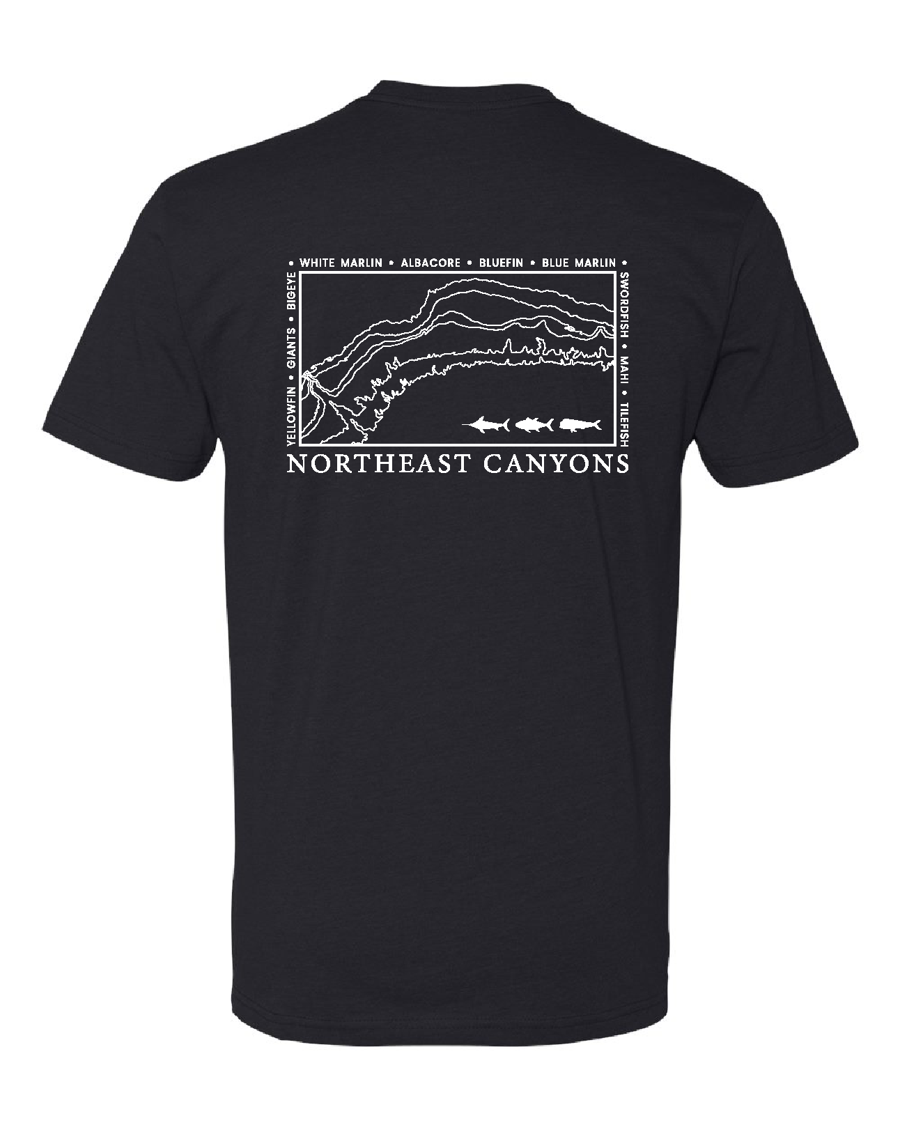 Northeast Canyon Tee