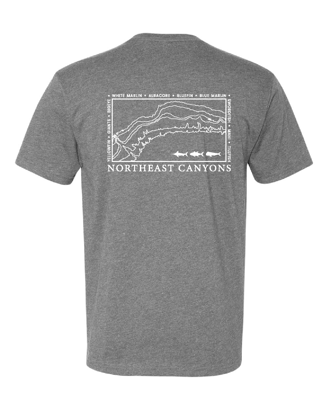 Northeast Canyon Tee
